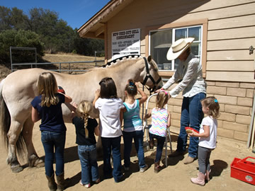 Learning to brush a horse